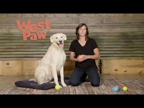 Jive® Dog Ball with Zogoflex®