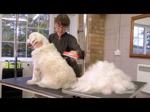 Cepillos de muda FURminator para perros