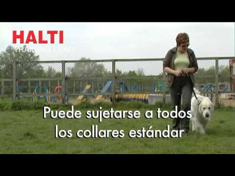 Halti Training Lead - Pocurull -