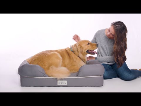 PetFusion Ultimate Dog Bed &amp; Lounge