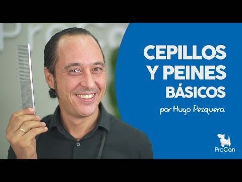 Cepillos y peines básicos | Cómo cepillar a un perro | Curso de peluquería canina