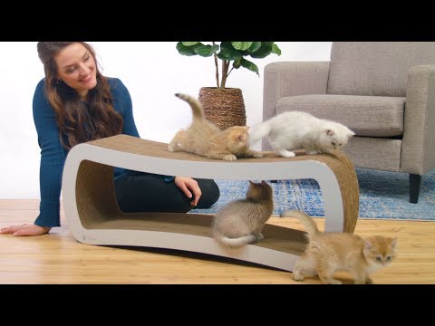 PetFusion Jumbo Cat Scratcher Lounge