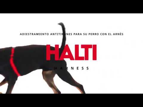 Arnés anti tirones Halti para perros de The Company Of Animals