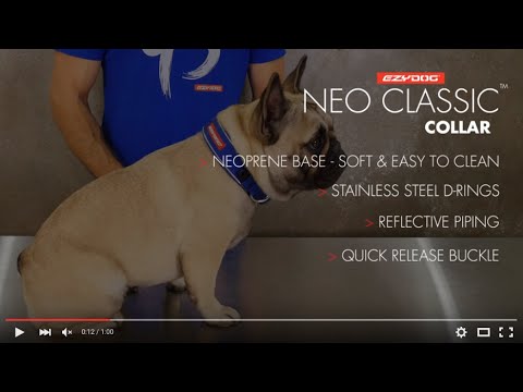 How to fit your Dog&#039;s Collar - EzyDog Neo Classic Dog Collar