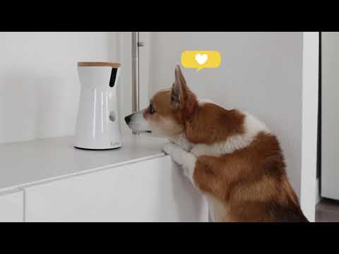 Furbo 360° Treat Tossing Dog Camera