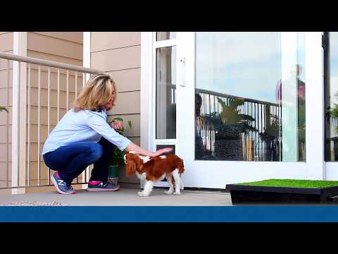 How to Install the PetSafe® Sliding Glass Door