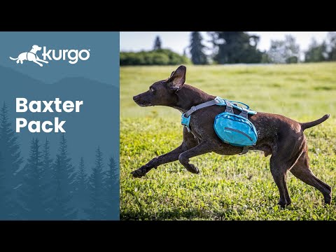 The Baxter Backpack | Custom-fit pack for your dog