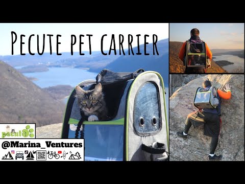 Pecute Pet Carrier Backpack