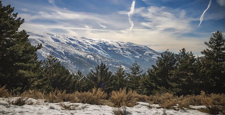 Alojamiento que admite perros en Sierra Nevada