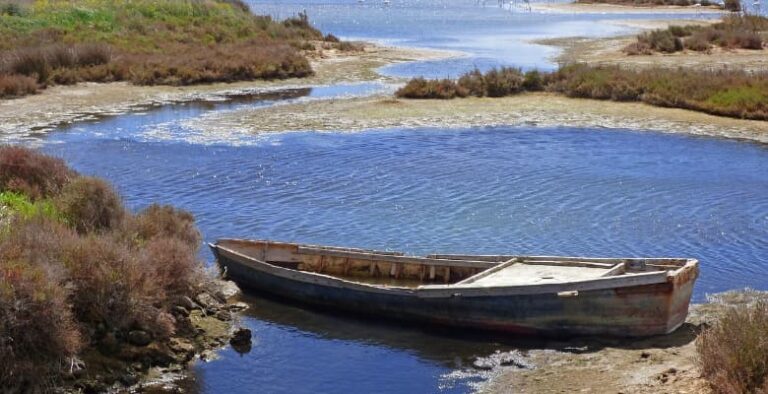 Alojamientos que admiten perros en el Delta del Ebro