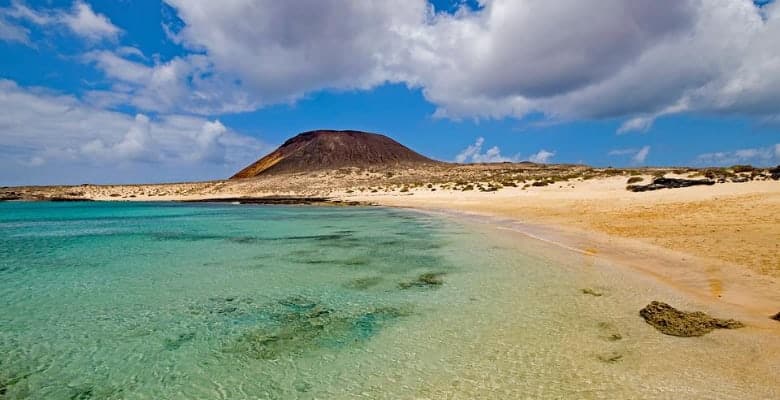 Apartamentos y hoteles que admiten mascotas en Canarias