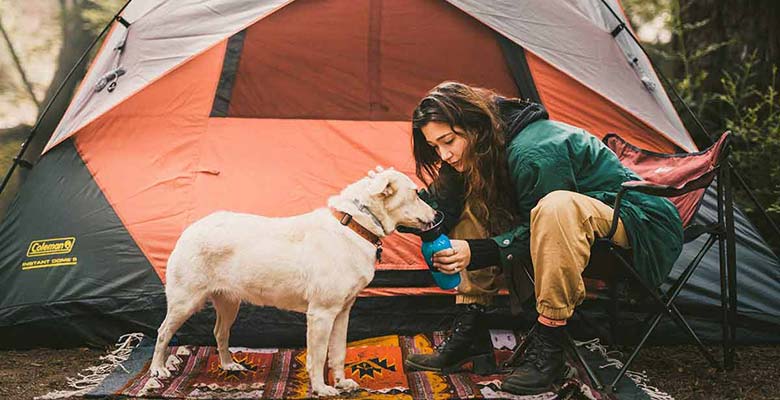 Botellas de agua para perros