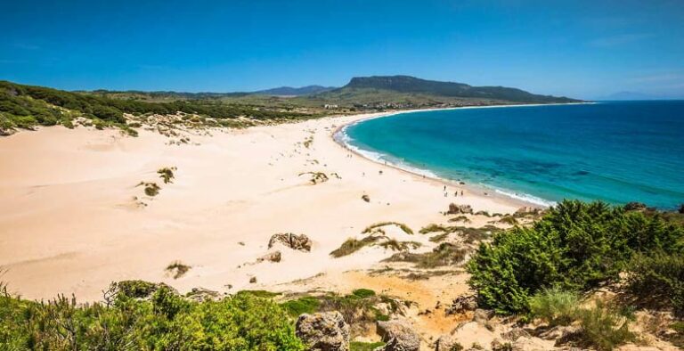 Campings que admiten mascotas en Cádiz