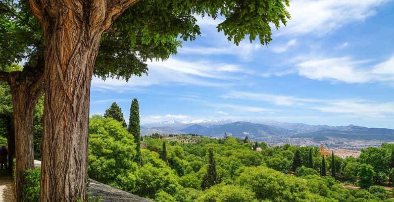 Campings que admiten perros en Andalucía