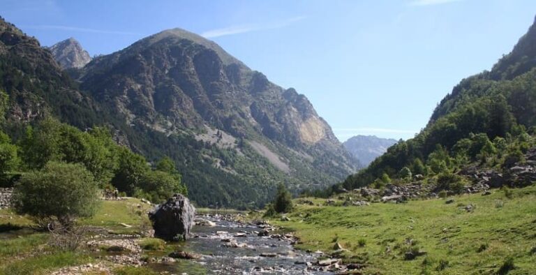 Campings que admiten perros en Cataluña