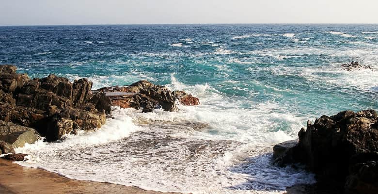 Campings que admiten perros en la Costa Brava