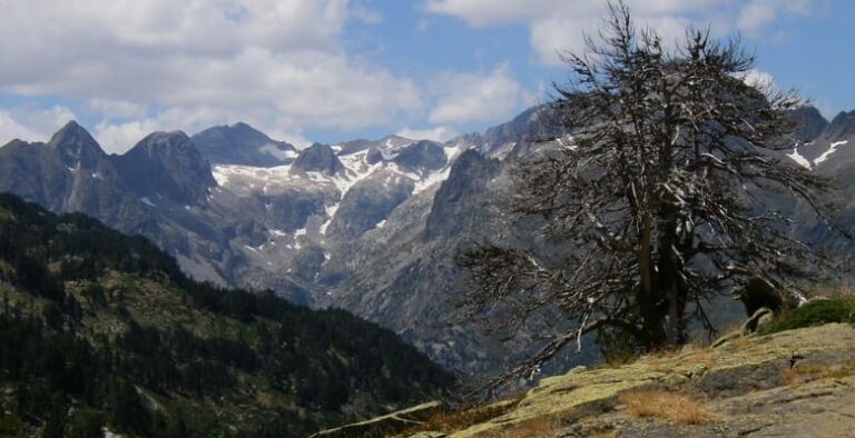 Casas Rurales que admiten perros en el Pirineo Aragonés - Huesca