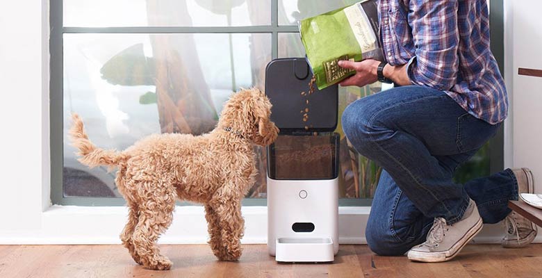 Comederos automáticos para gatos y perros