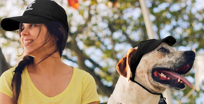 Complementos para perros - Gorras, gafas de sol, bandanas y gomas con lazos