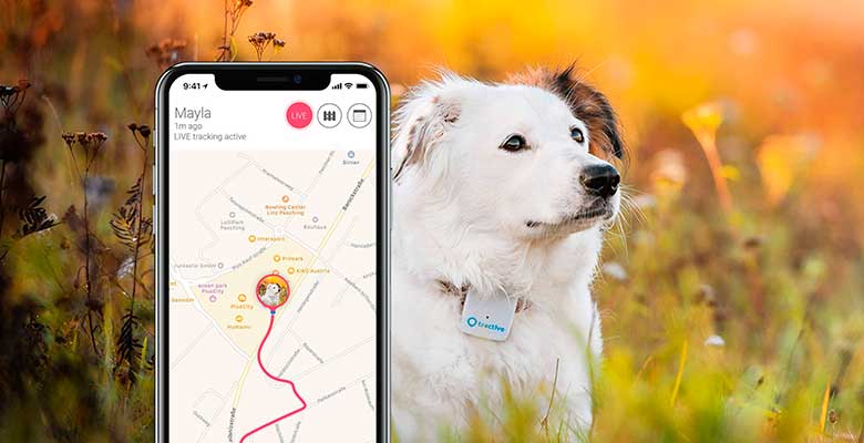 GPS para perros y gatos