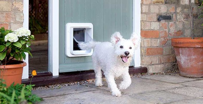 Gateras (puertas para perros y gatos)