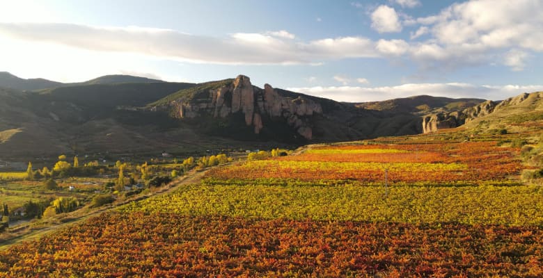 Hoteles que admiten mascotas en La Rioja