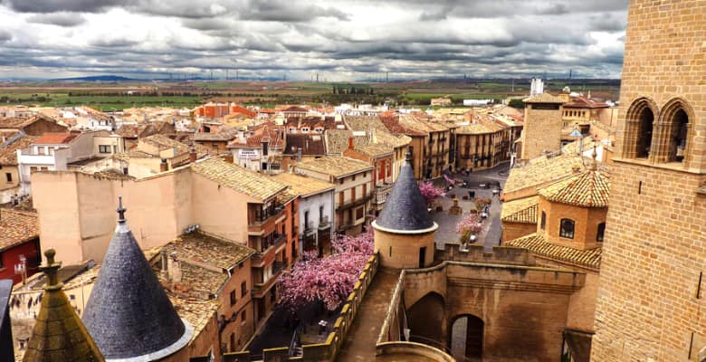 Hoteles que admiten mascotas en Navarra