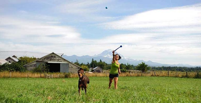 Lanzadores de pelotas para perros