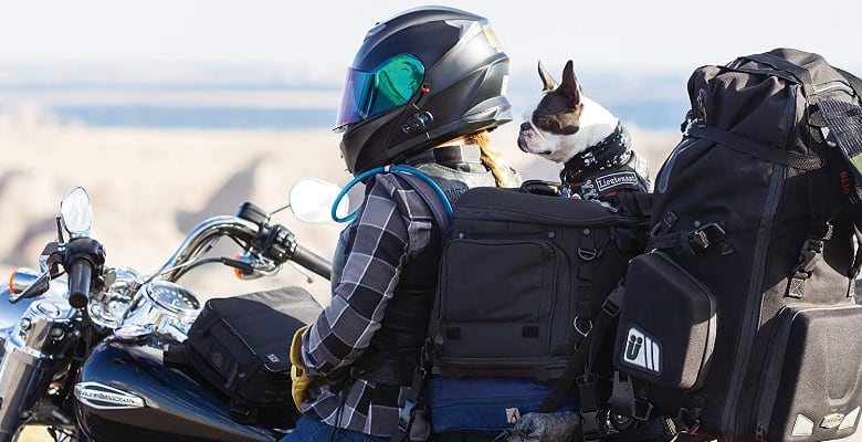 Llevar al perro en moto