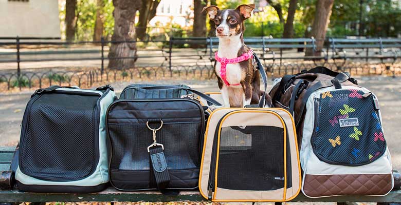 Transportines para perros y gatos