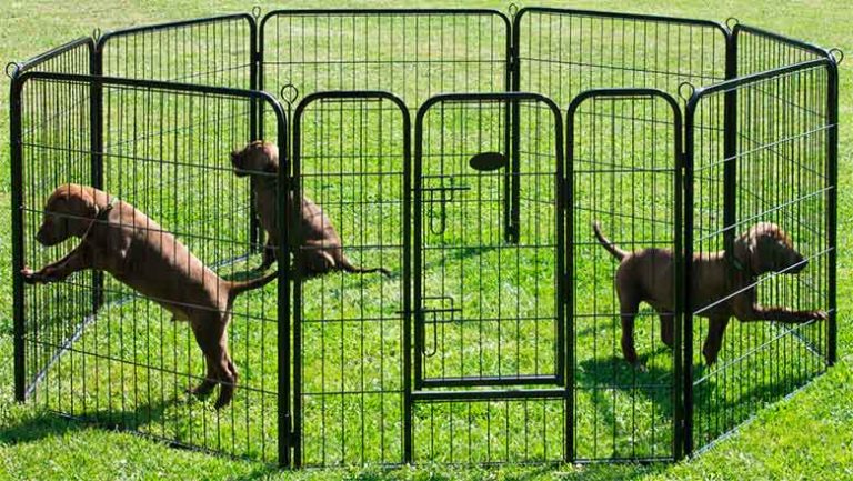 Vallas y parques para perros