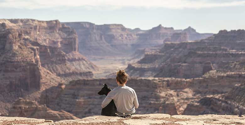 Viajar con perros