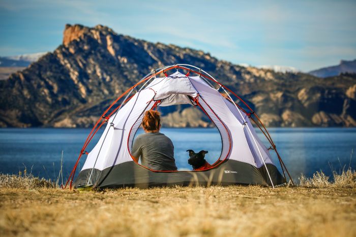 10 consejos para ir de camping con perro