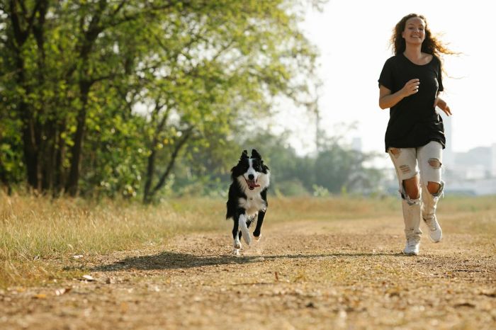 Cuida las articulaciones de tu perro para mejorar su calidad de vida