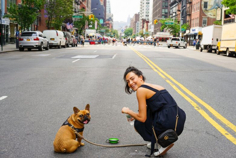 Perro en ciudad pet friendly, escapada urbana