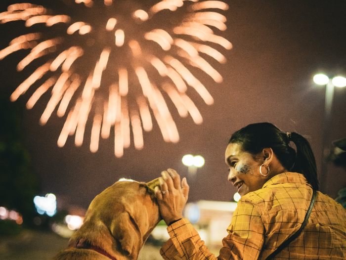 Protege y calma a tu perro si hay petardos o fuegos artificiales